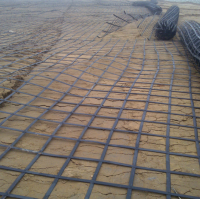 2324376_1599523942.png 2324376_1599523942.png